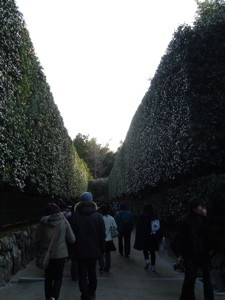 f:id:higedice:20061231145238j:image