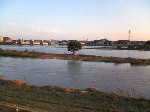 f:id:higedice:20070908172800j:image