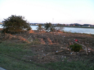 f:id:higedice:20070908173700j:image