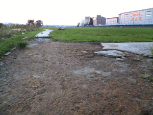 f:id:higedice:20070908175300j:image