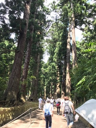 f:id:higedice:20170816162930j:image f:id:higedice:20170816162930j:image