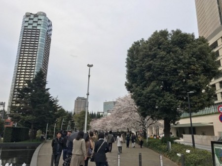f:id:higedice:20180325101948j:image