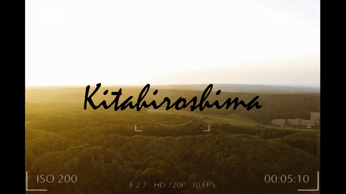 f:id:higehigex:20190719171046j:plain