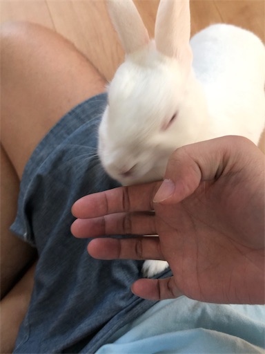 f:id:higekoioyaji:20190825134220j:image f:id:higekoioyaji:20190825134220j:image