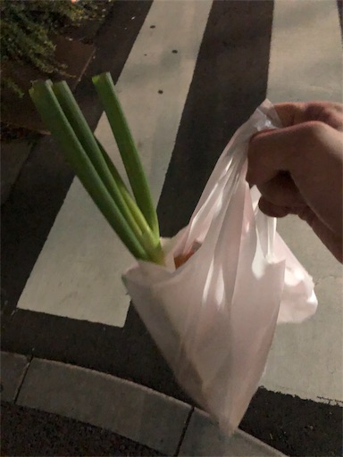 f:id:higekoioyaji:20190905064645j:image