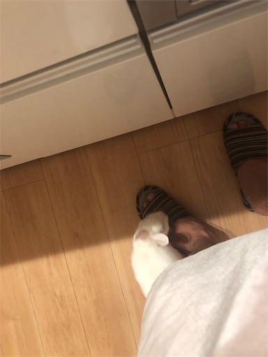 f:id:higekoioyaji:20190919184437j:image