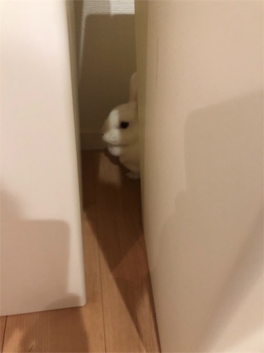 f:id:higekoioyaji:20190919185101j:image