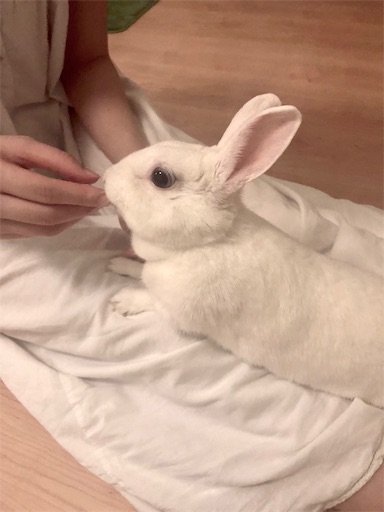 f:id:higekoioyaji:20191003124258j:image