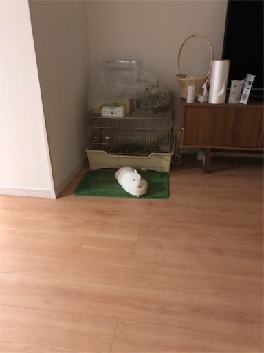 f:id:higekoioyaji:20191114123823j:image