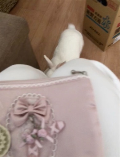 f:id:higekoioyaji:20191130171026j:image f:id:higekoioyaji:20191130171026j:image