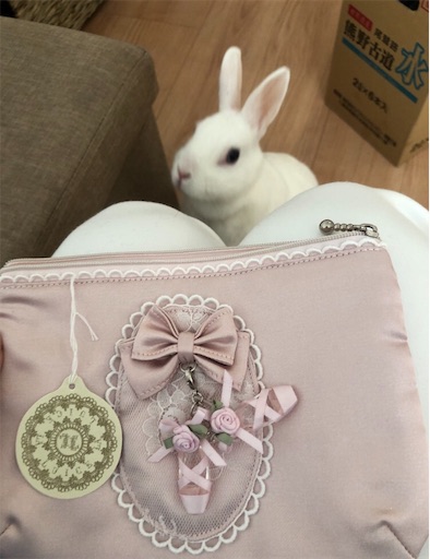 f:id:higekoioyaji:20191130171050j:image f:id:higekoioyaji:20191130171050j:image