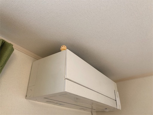 f:id:higekoioyaji:20200413062604j:image f:id:higekoioyaji:20200413062604j:image