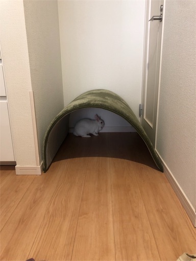 f:id:higekoioyaji:20210312122309j:image f:id:higekoioyaji:20210312122309j:image