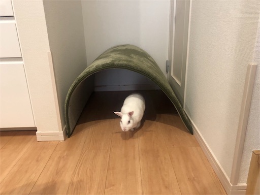 f:id:higekoioyaji:20210312122320j:image f:id:higekoioyaji:20210312122320j:image