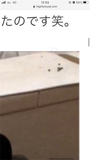 f:id:higekoioyaji:20210405121207j:image