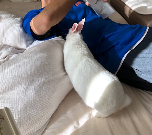 f:id:higekoioyaji:20220207123822j:image