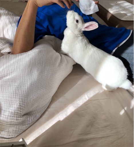 f:id:higekoioyaji:20220207123851j:image