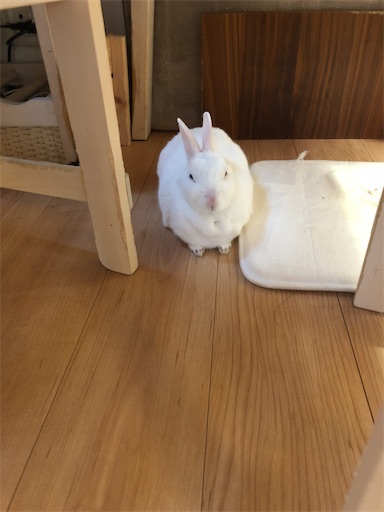 f:id:higekoioyaji:20220214122019j:image