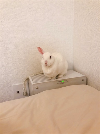 f:id:higekoioyaji:20220331122404j:image