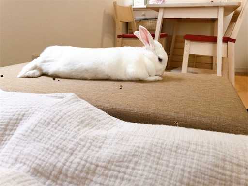 f:id:higekoioyaji:20220427123131j:image