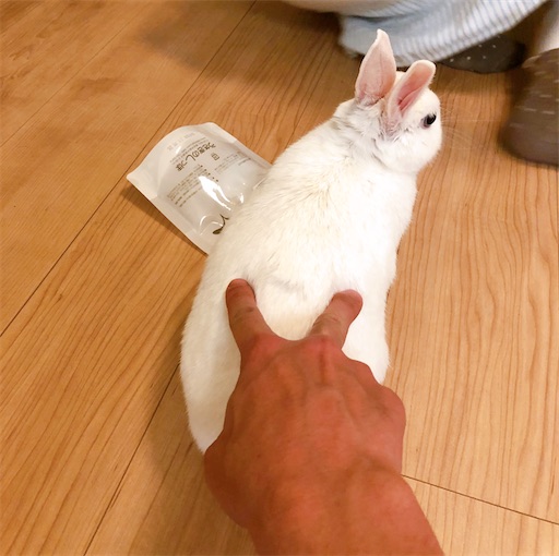 f:id:higekoioyaji:20220512122448j:image