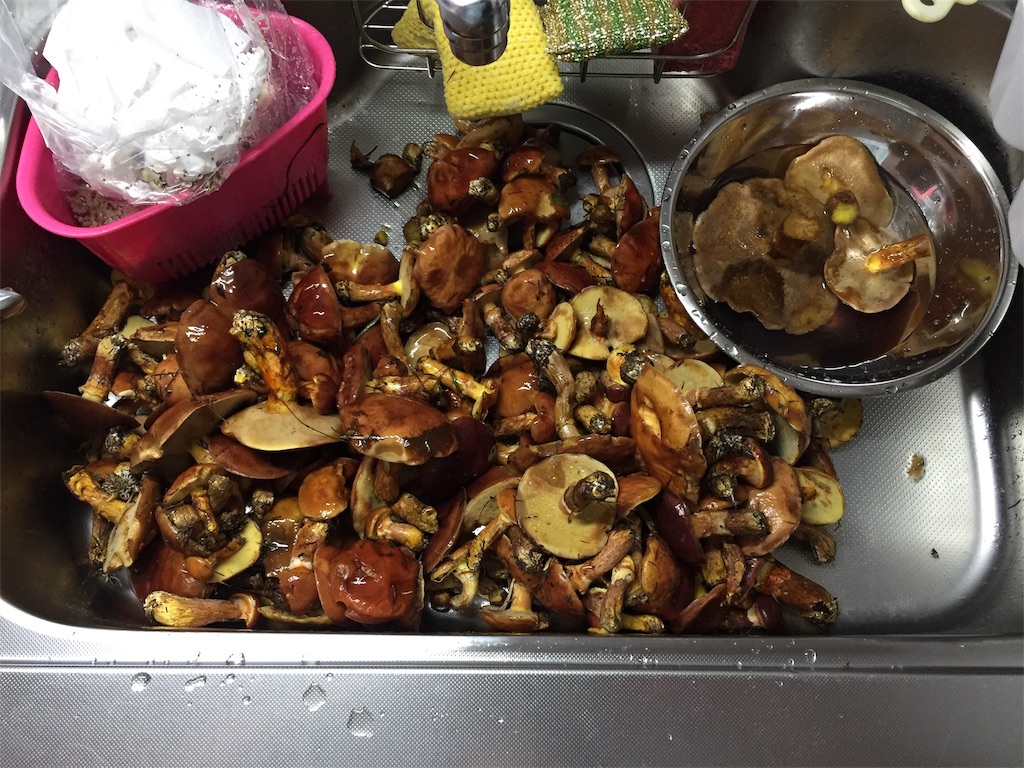 f:id:higemoomin:20200926222523j:image f:id:higemoomin:20200926222523j:image