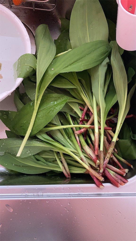 f:id:higemoomin:20220517133835j:image