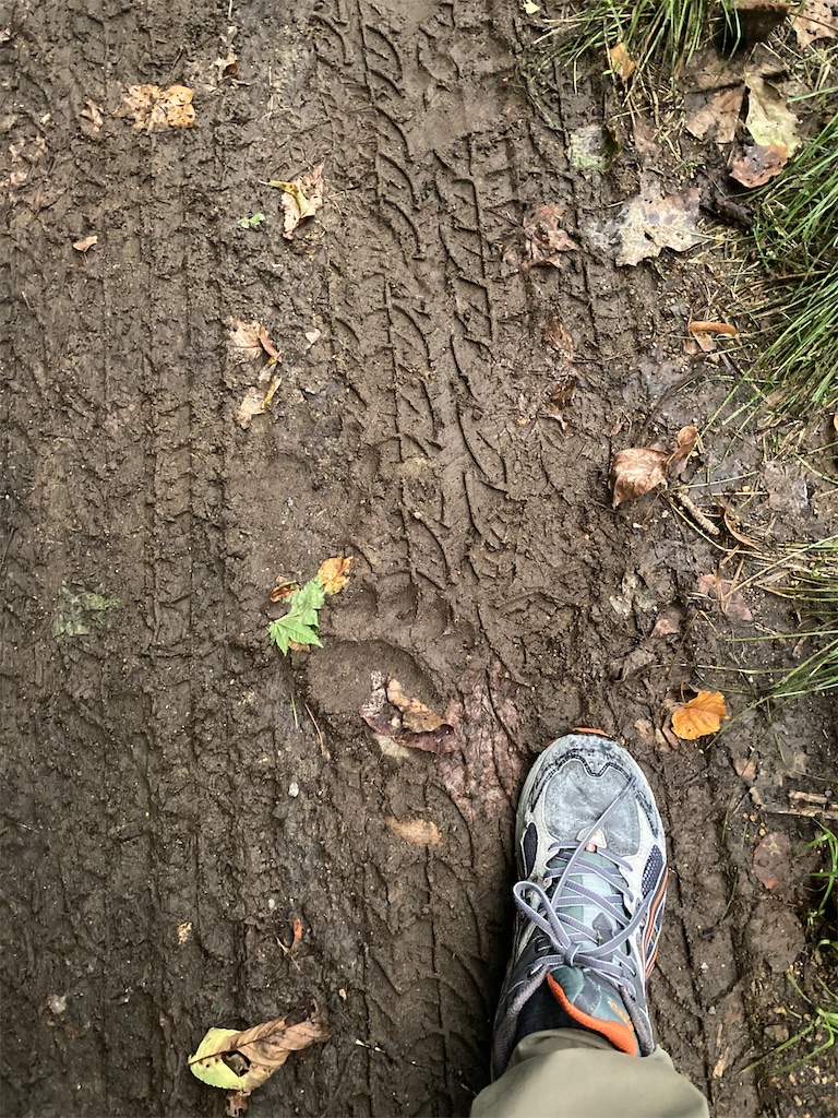 f:id:higemoomin:20230923130649j:image