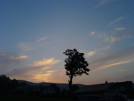 f:id:higepon:20050829181438j:image