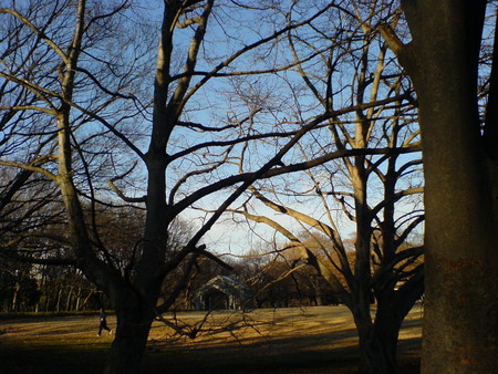 f:id:higepon:20060103152046j:image