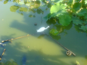 f:id:higepon:20070616170135j:image:right f:id:higepon:20070616170135j:image:right