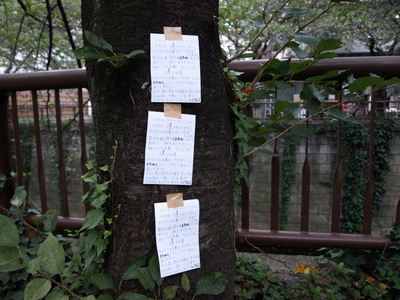 f:id:higepon:20071013160200j:image