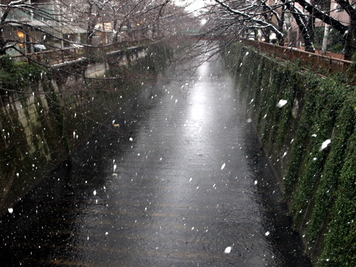 f:id:higepon:20080203132247j:image