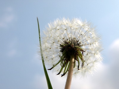 f:id:higepon:20080428112516j:image