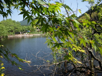 f:id:higepon:20080526100938j:image:right f:id:higepon:20080526100938j:image:right