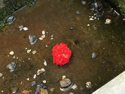 f:id:higepon:20080526105836j:image:right