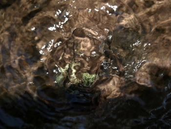 f:id:higepon:20080526111933j:image:right