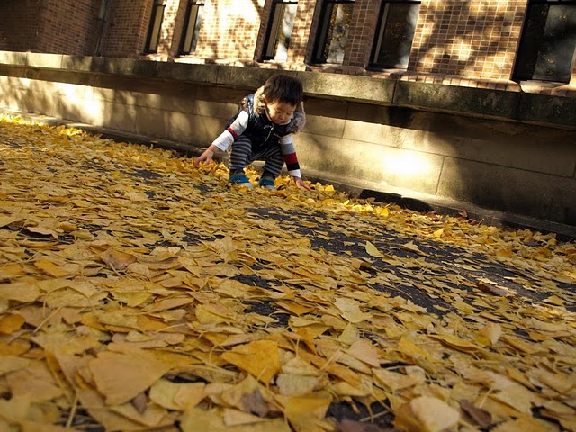 f:id:higepon:20101204174416j:image