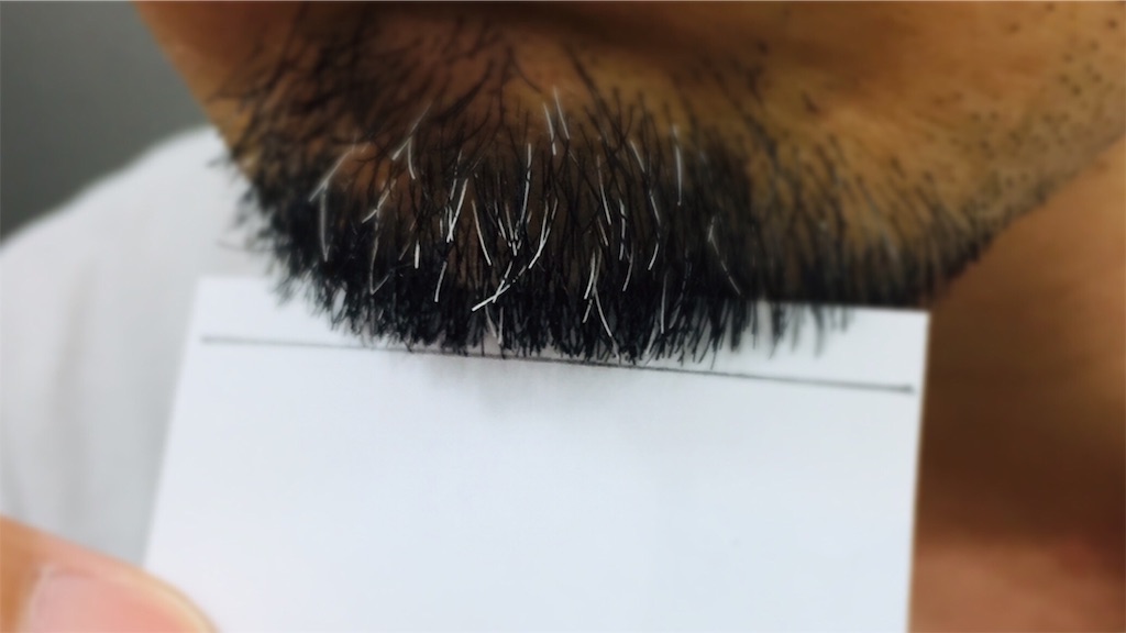 f:id:higeshige:20190512224308j:image