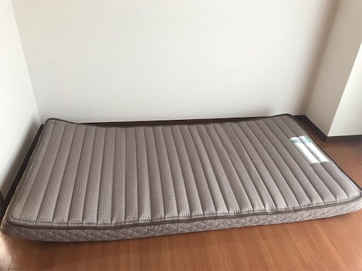 フランスベッド　折り畳みベッド ラクネスーパープレミアム imgrc0107996544.jpg