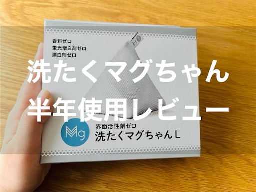 f:id:higeusen:20240831095245j:image