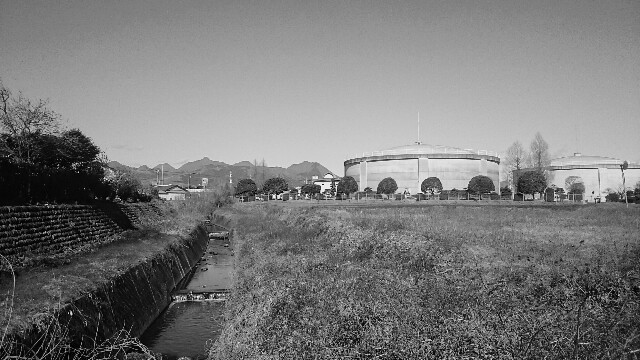 f:id:higeyahman:20190221130628j:image f:id:higeyahman:20190221130628j:image