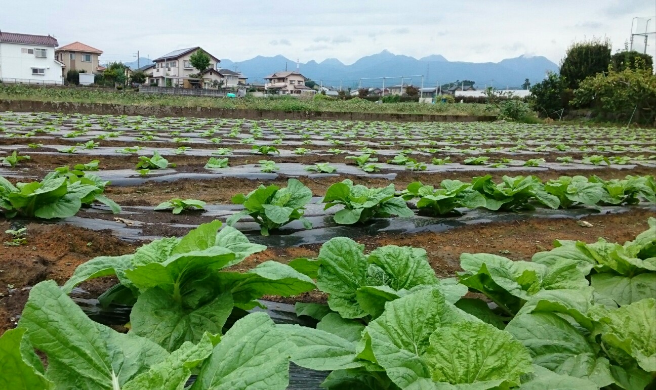 f:id:higeyahman:20190921173545j:image