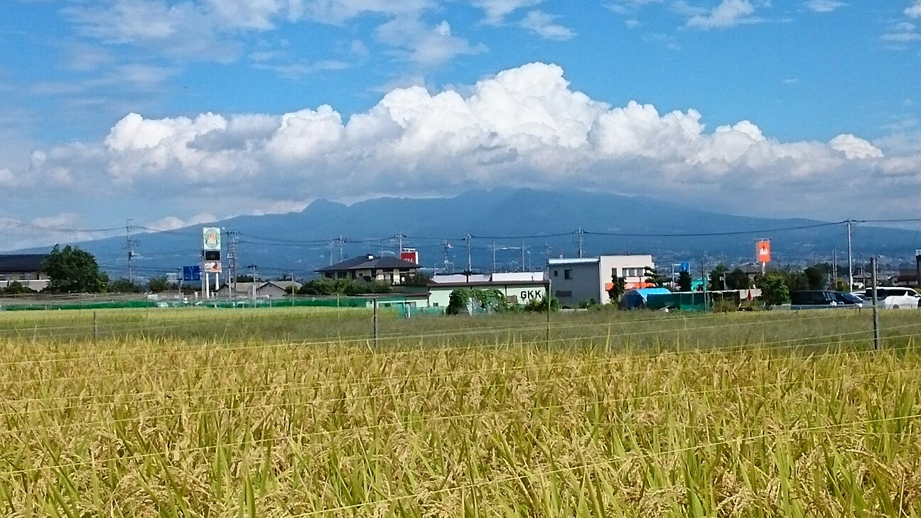 f:id:higeyahman:20190926152244j:image