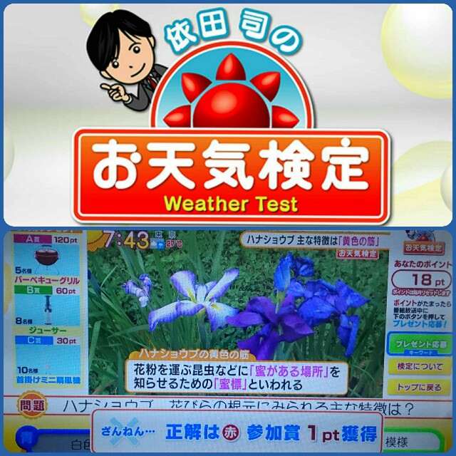 f:id:higeyahman:20210607115651j:image