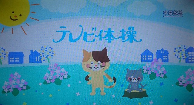 f:id:higeyahman:20210614174146j:image