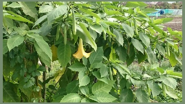 f:id:higeyahman:20211027193540j:image f:id:higeyahman:20211027193540j:image