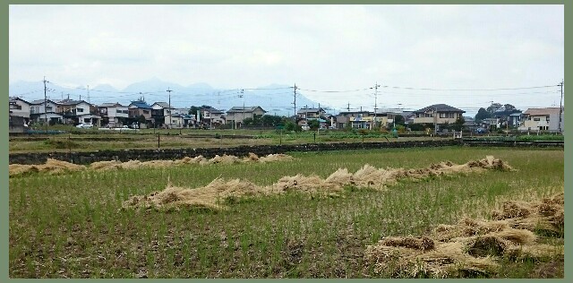 f:id:higeyahman:20211027194803j:image f:id:higeyahman:20211027194803j:image