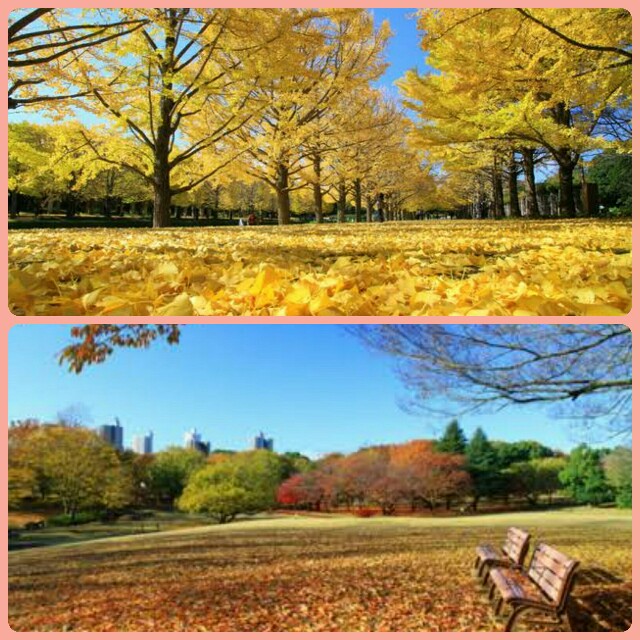 f:id:higeyahman:20211203090933j:image