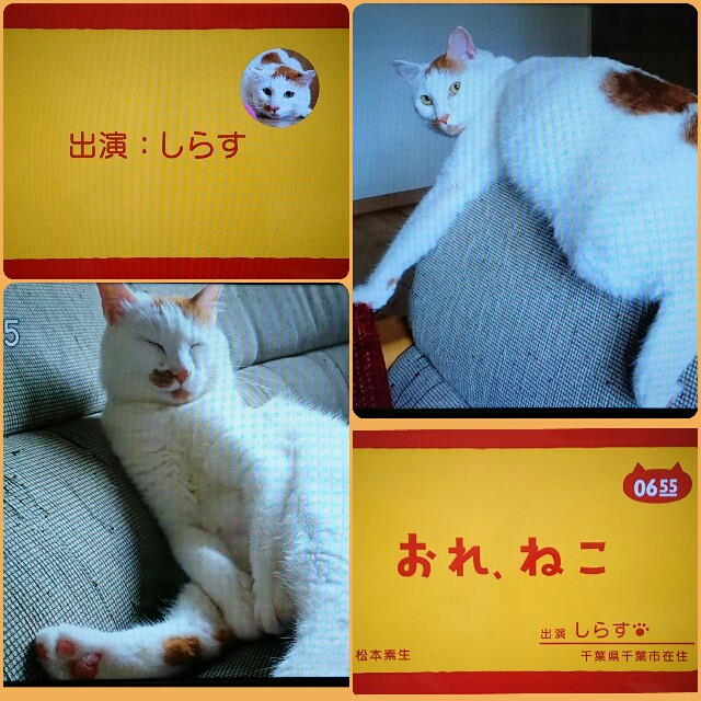 f:id:higeyahman:20211206092010j:image